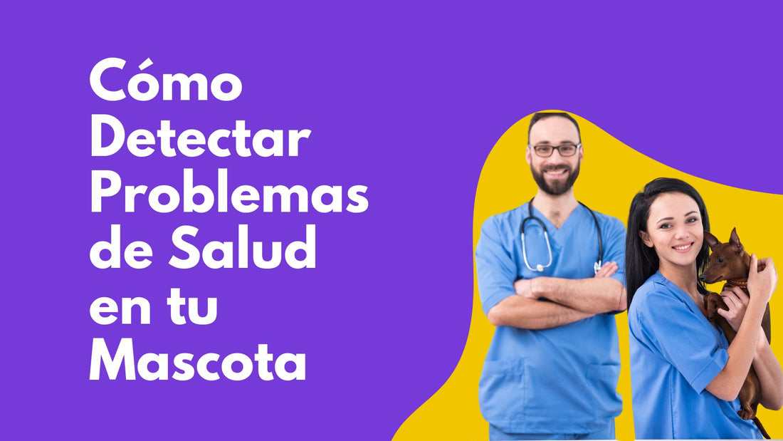 Cómo Detectar Problemas de Salud en tu Mascota