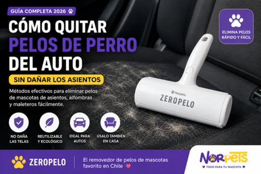 Cómo quitar pelos de perro del auto sin dañar los asientos utilizando Zeropelo