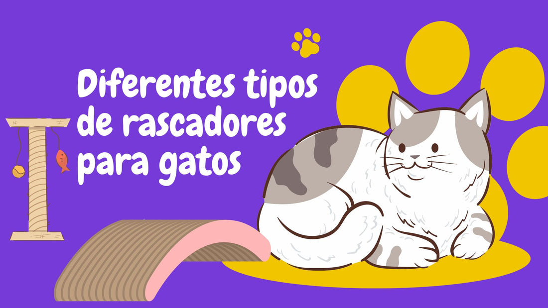 Diferentes Tipos de Rascadores para Gatos y Sus Beneficios