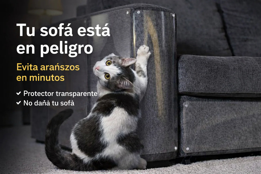 Protector de sofá para gatos anti arañazos transparente instalado en sillón en Chile con gato