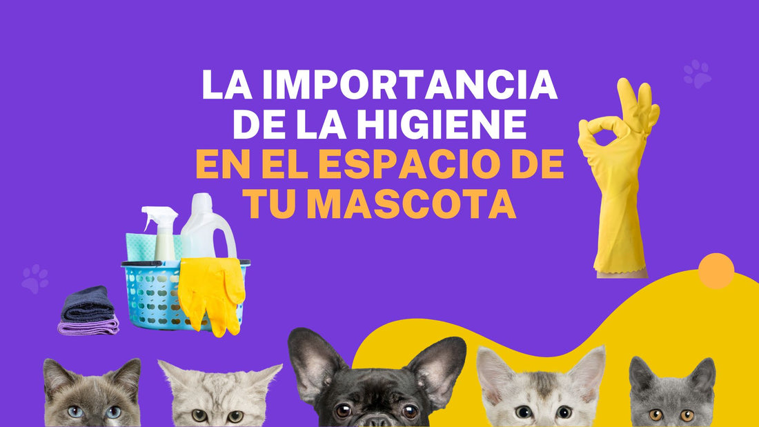 La Importancia de la Higiene en el Espacio de tu Mascota