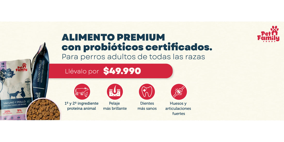 PetFamily Vacuno y Pollo 15 kg alimento premium para perros adultos en Chile