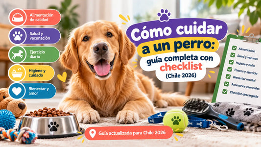 Golden Retriever junto a accesorios para mascotas y checklist de cuidados esenciales. Guía completa sobre cómo cuidar a un perro en Chile 2026, incluyendo alimentación, salud, higiene, ejercicio y bienestar.