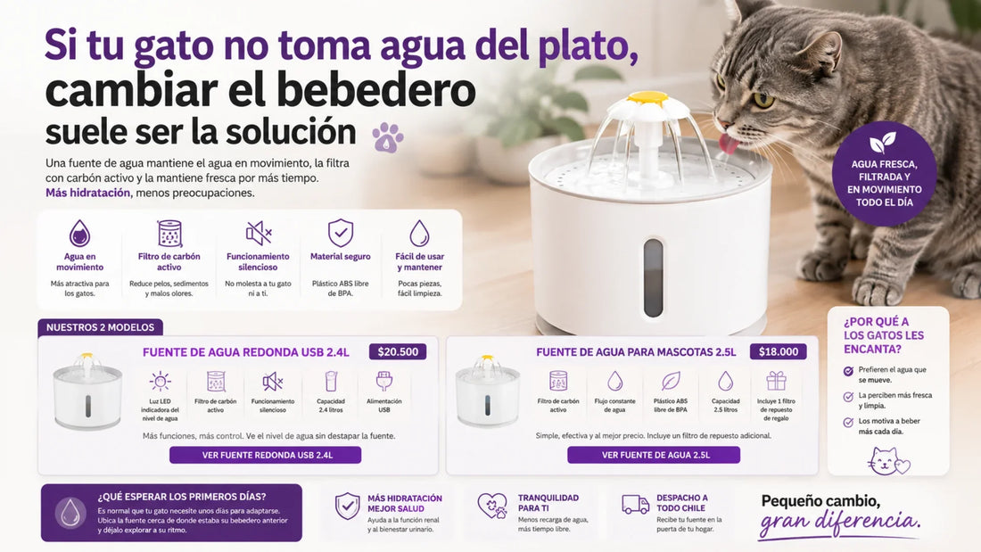 Fuente de agua automática de 2.4 litros para gatos y perros