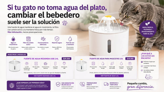 Fuente de agua automática de 2.4 litros para gatos y perros