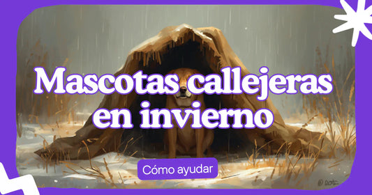 Perro callejero refugiándose de la lluvia bajo una manta en invierno, ilustración de Norpets sobre cómo ayudar a mascotas callejeras en Chile