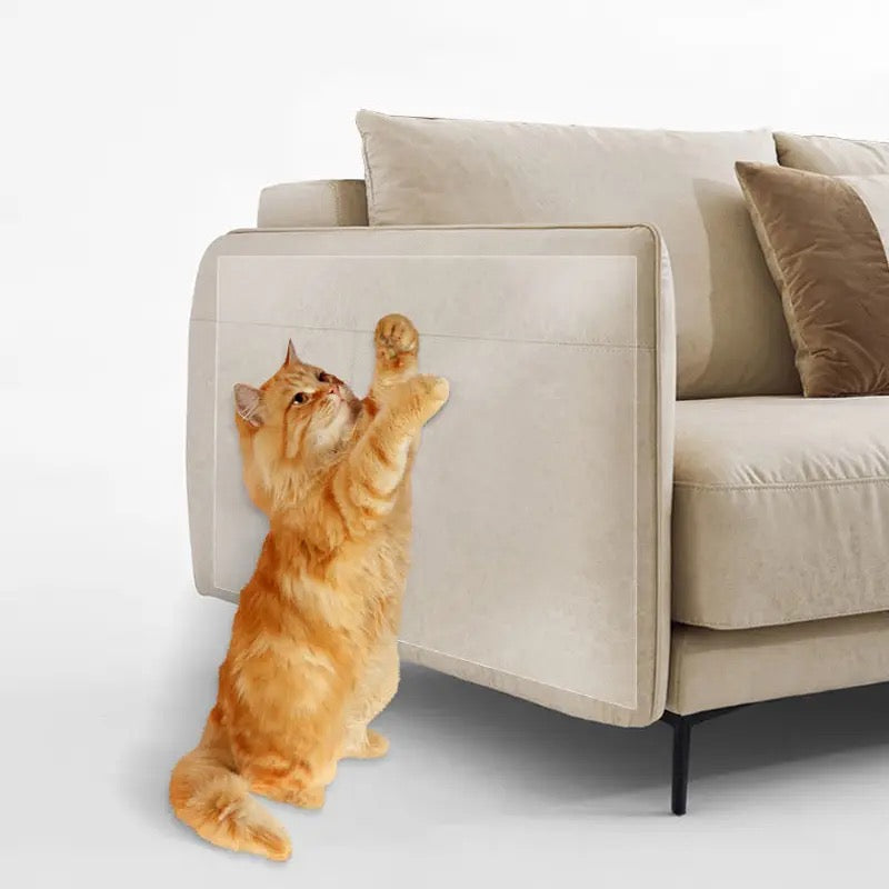 Protector de Sillones y Sofás para Gatos Transparente | Láminas Anti Arañazos