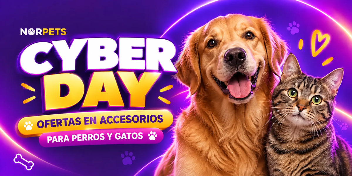 Cyber Day Norpets: ofertas en accesorios para perros y gatos