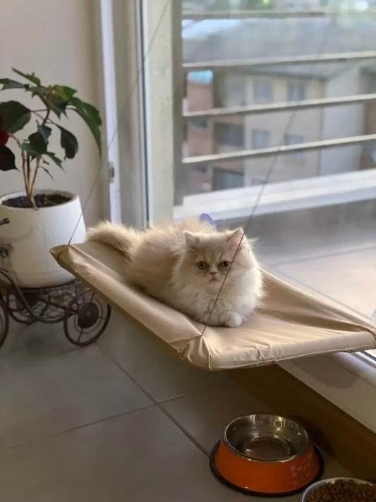 Cama Hamaca para Gatos Ventanas – El Mejor Mirador para tu Felino disponible en Norpets-tienda.cl