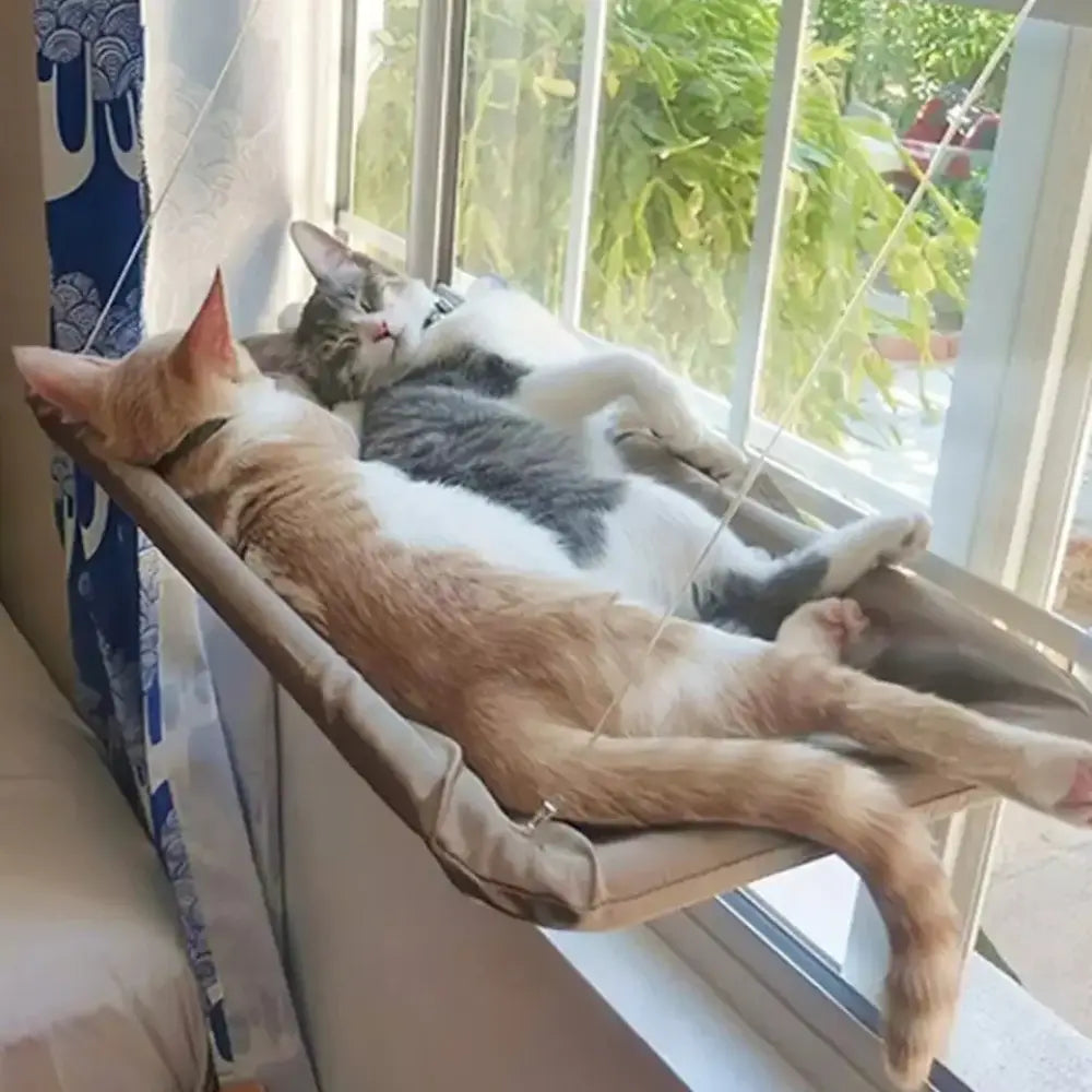 Cama Hamaca para Gatos Ventanas – El Mejor Mirador para tu Felino disponible en Norpets-tienda.cl