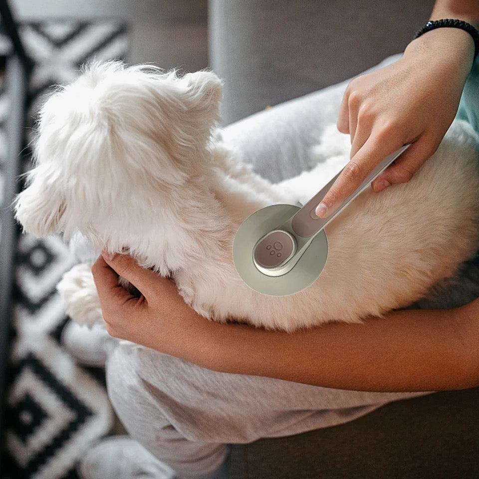 Cepillo para mascotas gato o perro