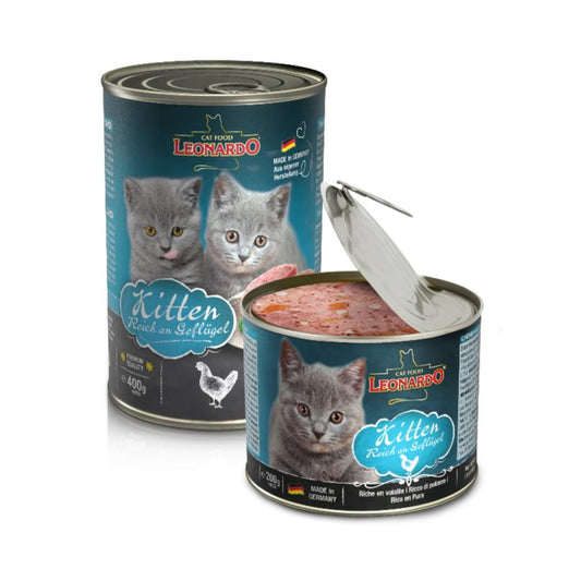 Leonardo Kitten latas