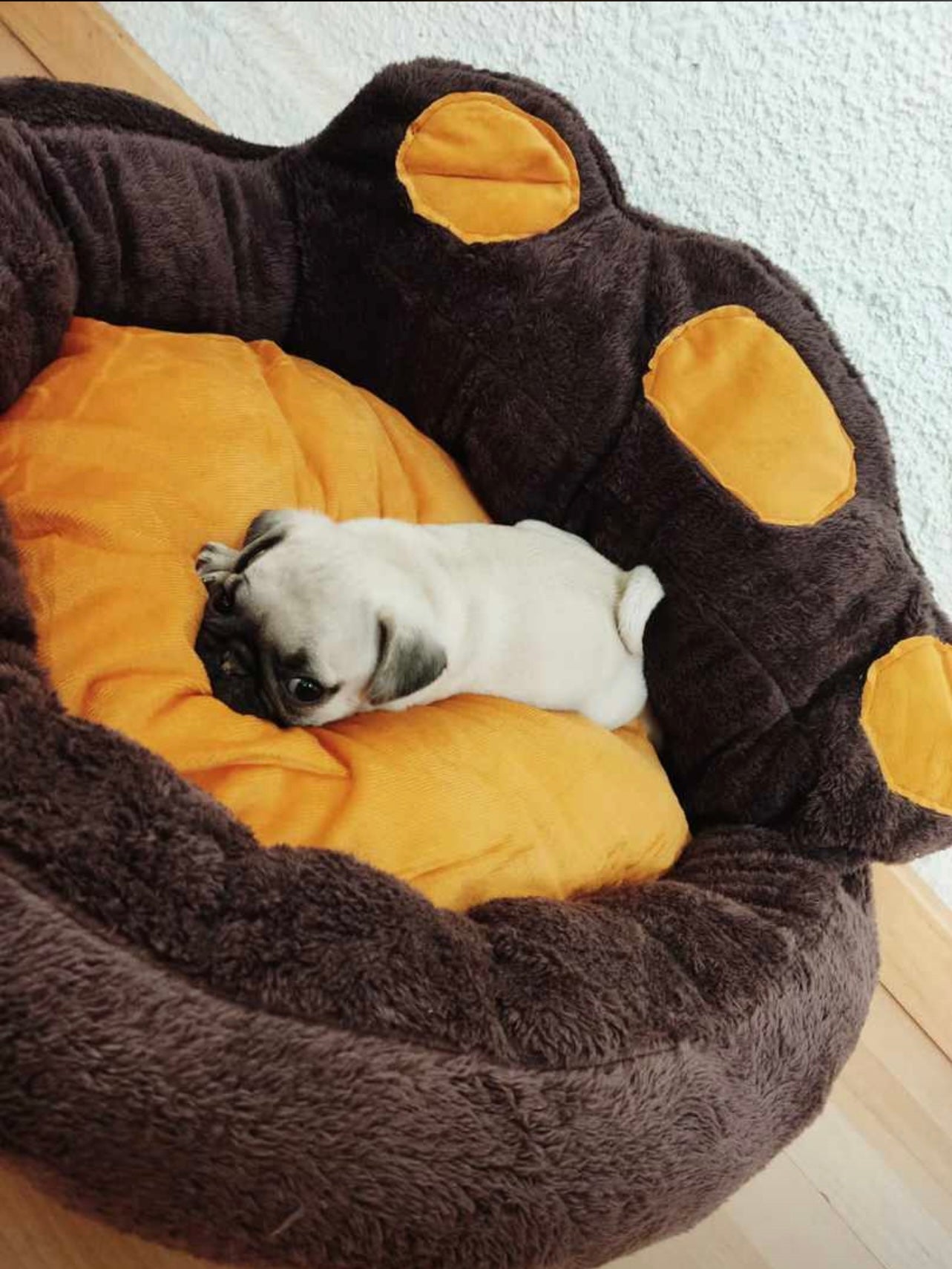 Cama para mascotas huella