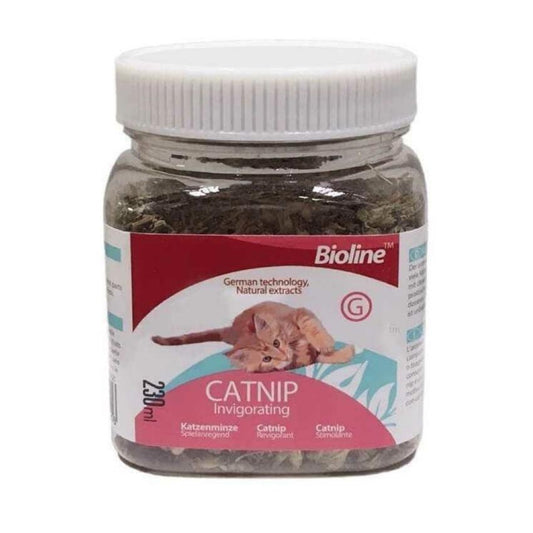 Hierba Gatera Catnip 20 Gramos