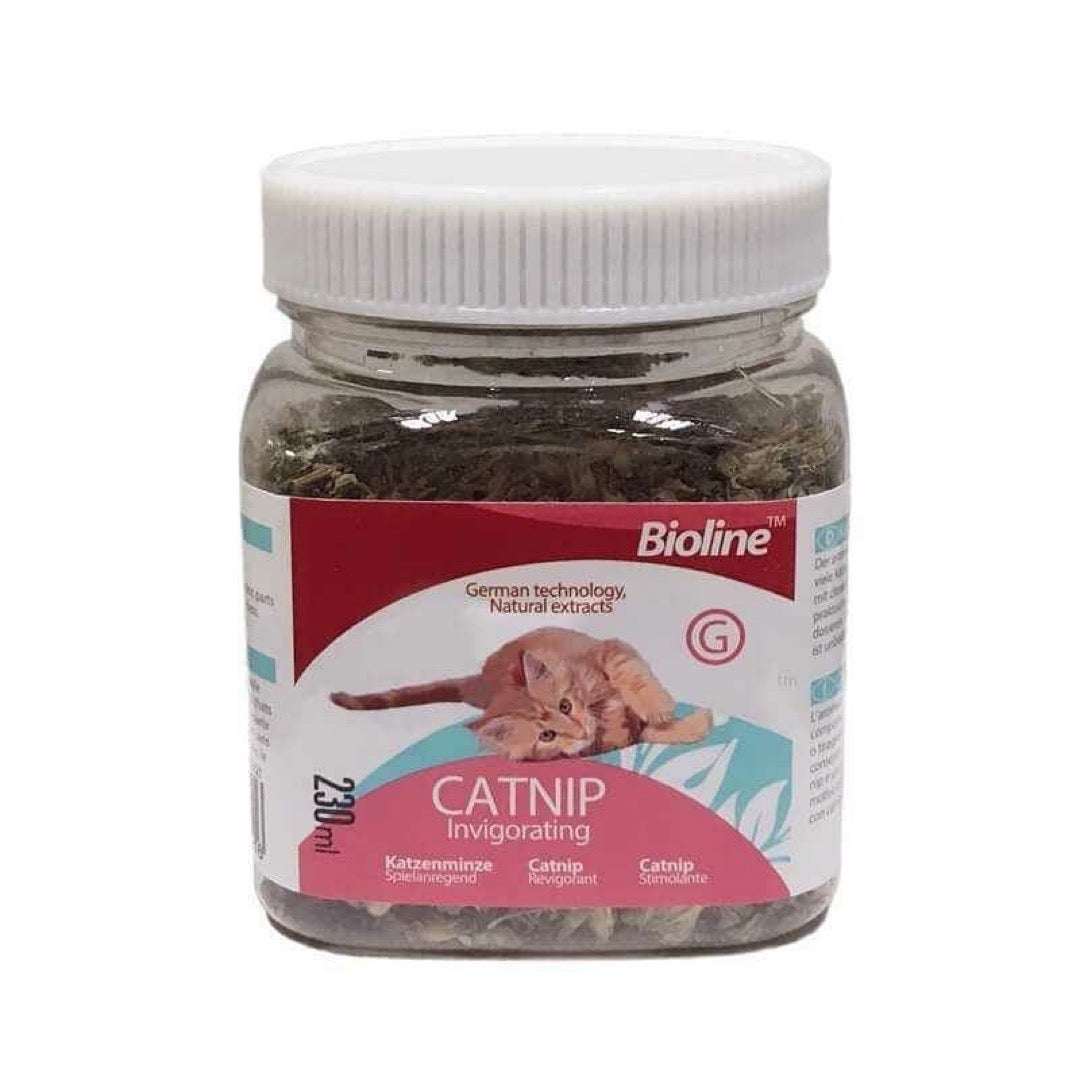 Hierba Gatera Catnip 20 Gramos