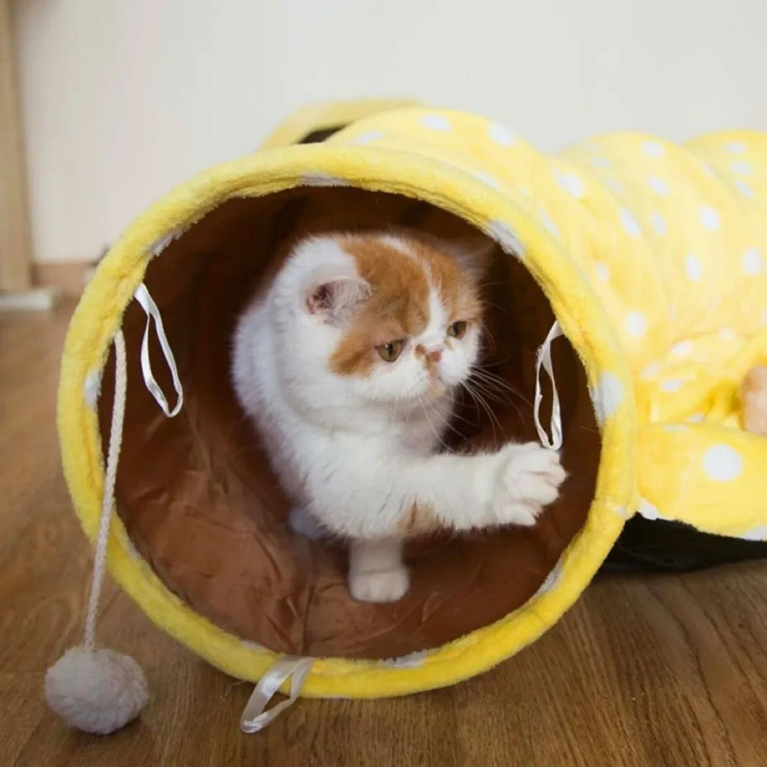 Túnel Cama plegable para gatos de felpa