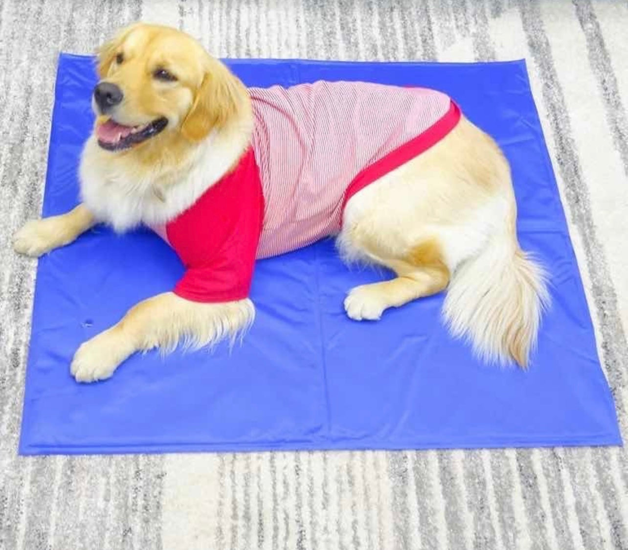 Manta refrescante para mascotas Talla XL