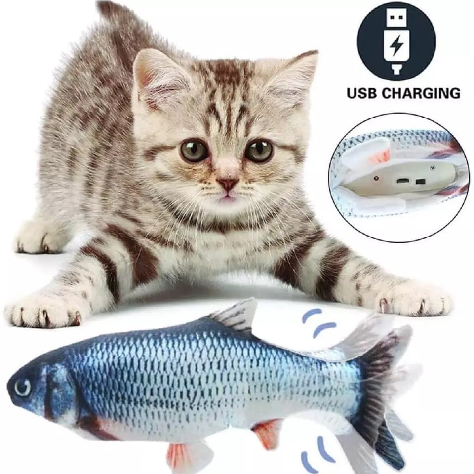 Pescado con movimientos USB