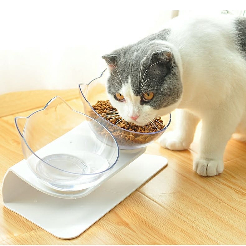 Plato doble para gato comida y agua