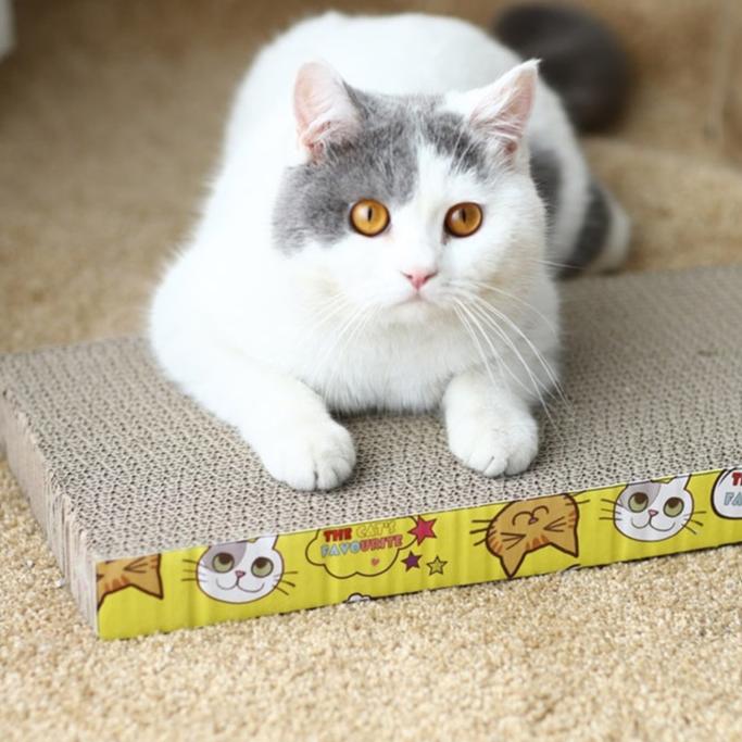 Rascador de cartón para gatos